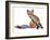 Young Vixen Grooming, 2021, (mixed media)-Mark Adlington-Framed Giclee Print