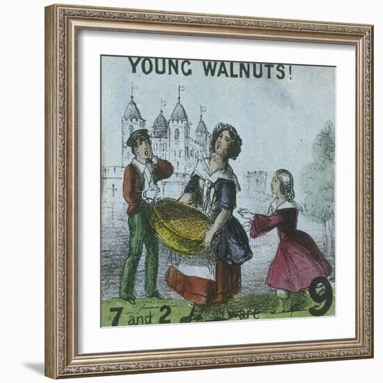 Young Walnuts!, Cries of London, C1840-TH Jones-Framed Giclee Print
