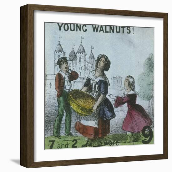 Young Walnuts!, Cries of London, C1840-TH Jones-Framed Giclee Print