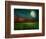 Young Wheat Field At Night With The Moonlight-Krivosheev Vitaly-Framed Premium Giclee Print