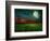 Young Wheat Field At Night With The Moonlight-Krivosheev Vitaly-Framed Premium Giclee Print