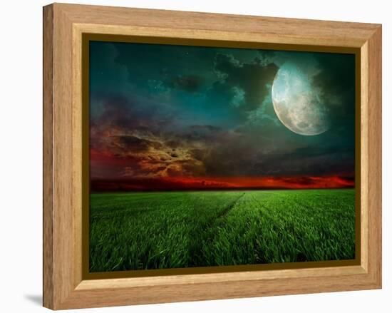 Young Wheat Field At Night With The Moonlight-Krivosheev Vitaly-Framed Stretched Canvas