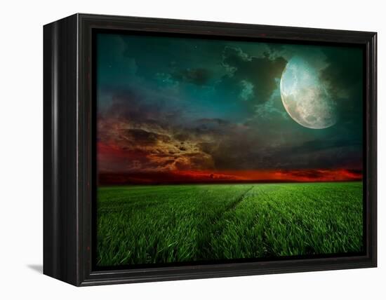 Young Wheat Field At Night With The Moonlight-Krivosheev Vitaly-Framed Stretched Canvas