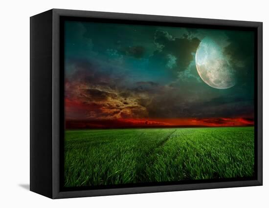 Young Wheat Field At Night With The Moonlight-Krivosheev Vitaly-Framed Stretched Canvas