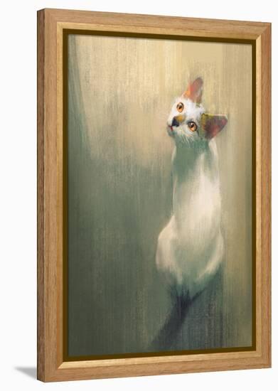 Young White Cat Looking Up,Digital Painting-Tithi Luadthong-Framed Stretched Canvas