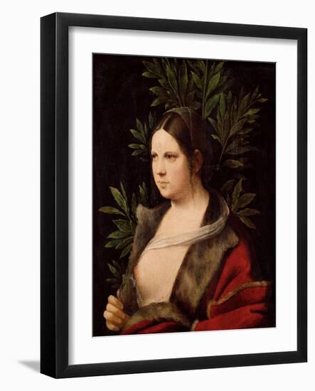 Young Woman, 1506-Giorgione-Framed Giclee Print