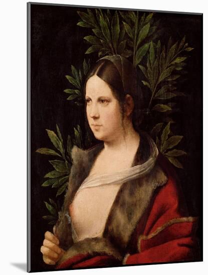 Young Woman, 1506-Giorgione-Mounted Giclee Print
