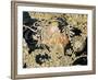 Young Woman, 1898-99-Alphonse Mucha-Framed Giclee Print