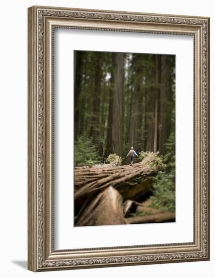 Young Woman Hiking in Humboldt Redwoods State Park, California-Justin Bailie-Framed Photographic Print