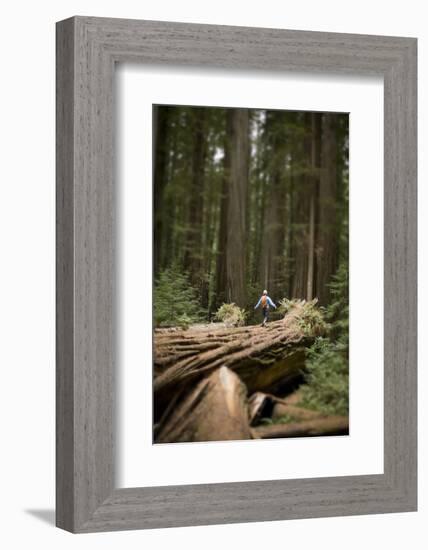 Young Woman Hiking in Humboldt Redwoods State Park, California-Justin Bailie-Framed Photographic Print