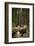 Young Woman Hiking in Humboldt Redwoods State Park, California-Justin Bailie-Framed Photographic Print