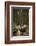 Young Woman Hiking in Humboldt Redwoods State Park, California-Justin Bailie-Framed Photographic Print