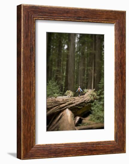 Young Woman Hiking in Humboldt Redwoods State Park, California-Justin Bailie-Framed Photographic Print