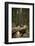 Young Woman Hiking in Humboldt Redwoods State Park, California-Justin Bailie-Framed Photographic Print