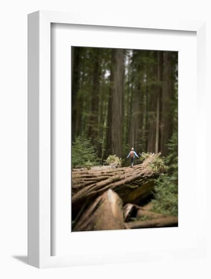 Young Woman Hiking in Humboldt Redwoods State Park, California-Justin Bailie-Framed Photographic Print