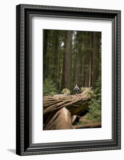 Young Woman Hiking in Humboldt Redwoods State Park, California-Justin Bailie-Framed Photographic Print