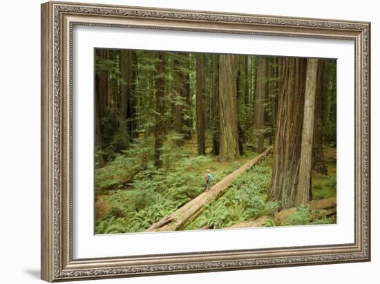 Young Woman Hiking In Humbolt Redwoods State Park, CA-Justin Bailie-Framed Photographic Print