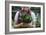 Young Woman Holding Fresh Vegetables Out Of The Garden-Justin Bailie-Framed Photographic Print