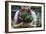 Young Woman Holding Fresh Vegetables Out Of The Garden-Justin Bailie-Framed Photographic Print