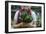 Young Woman Holding Fresh Vegetables Out Of The Garden-Justin Bailie-Framed Photographic Print