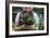 Young Woman Holding Fresh Vegetables Out Of The Garden-Justin Bailie-Framed Photographic Print