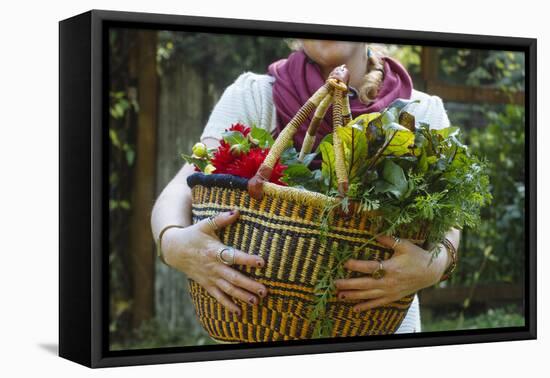 Young Woman Holding Fresh Vegetables Out Of The Garden-Justin Bailie-Framed Premier Image Canvas