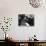 Young Woman in an Office Next to a Safe, Looking over Her Shoulder-null-Photo displayed on a wall