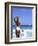 Young Woman in Swimsuit with White Hat-Bill Bachmann-Framed Photographic Print