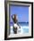 Young Woman in Swimsuit with White Hat-Bill Bachmann-Framed Photographic Print