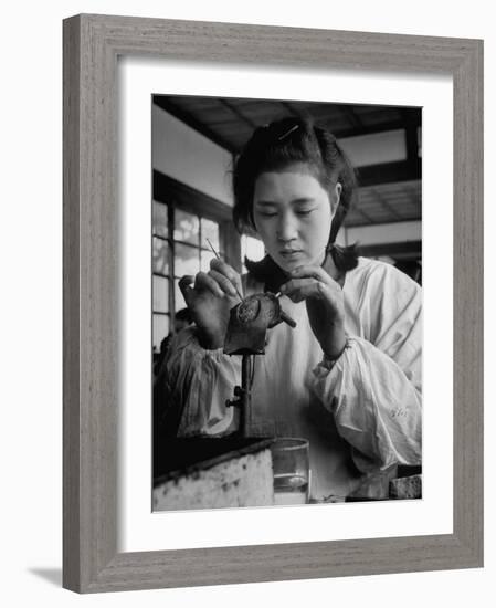 Young Woman Inserting Mother-Of-Pearl Bead into Live Oyster at Pearl Factory-Alfred Eisenstaedt-Framed Photographic Print