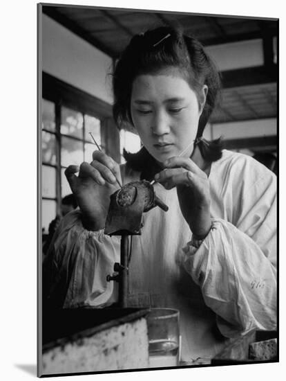 Young Woman Inserting Mother-Of-Pearl Bead into Live Oyster at Pearl Factory-Alfred Eisenstaedt-Mounted Photographic Print
