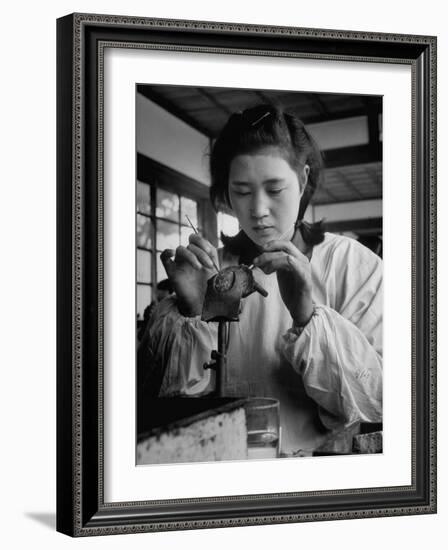 Young Woman Inserting Mother-Of-Pearl Bead into Live Oyster at Pearl Factory-Alfred Eisenstaedt-Framed Photographic Print