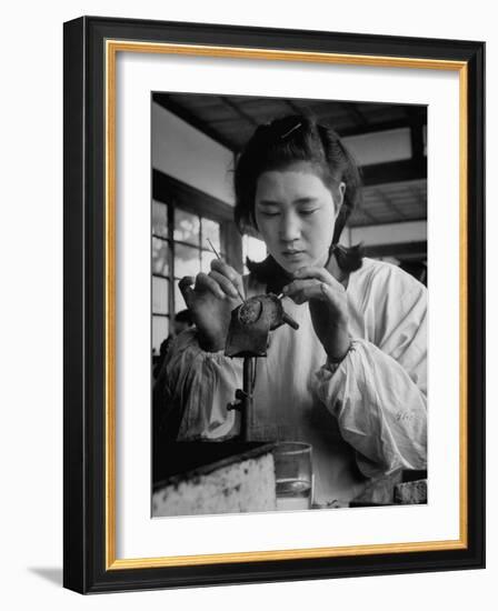 Young Woman Inserting Mother-Of-Pearl Bead into Live Oyster at Pearl Factory-Alfred Eisenstaedt-Framed Photographic Print