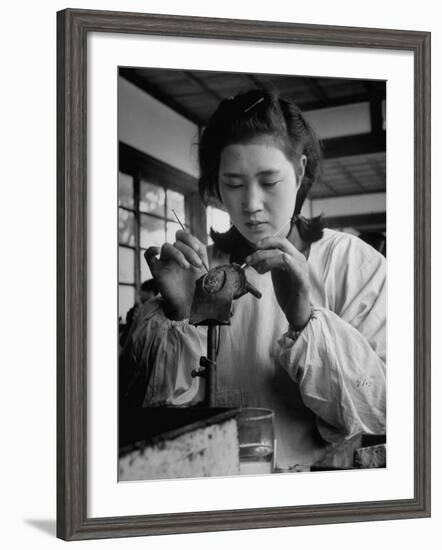 Young Woman Inserting Mother-Of-Pearl Bead into Live Oyster at Pearl Factory-Alfred Eisenstaedt-Framed Photographic Print