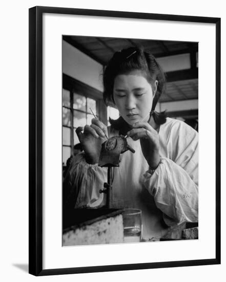 Young Woman Inserting Mother-Of-Pearl Bead into Live Oyster at Pearl Factory-Alfred Eisenstaedt-Framed Photographic Print