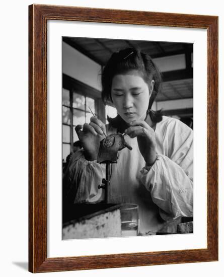 Young Woman Inserting Mother-Of-Pearl Bead into Live Oyster at Pearl Factory-Alfred Eisenstaedt-Framed Photographic Print