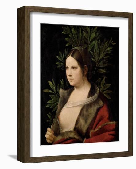 Young Woman (Laura)-Giorgione-Framed Giclee Print