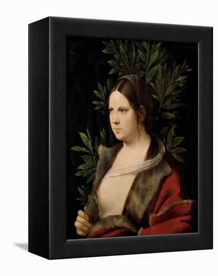 Young Woman (Laura)-Giorgione-Framed Premier Image Canvas