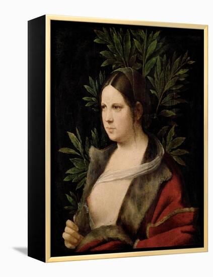 Young Woman (Laura)-Giorgione-Framed Premier Image Canvas