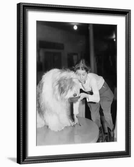 Young Woman Offering Her Bearded Collie a Drink of Water-null-Framed Photo