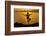 Young woman performs yoga posture against setting sun-Charles Bowman-Framed Photographic Print