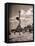 Young Woman Playing Ball on Beach-Philip Gendreau-Framed Premier Image Canvas