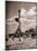 Young Woman Playing Ball on Beach-Philip Gendreau-Mounted Photographic Print