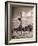 Young Woman Playing Ball on Beach-Philip Gendreau-Framed Photographic Print