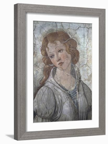 Young Woman Receives Gifts from Venus and the Three Graces-Sandro Botticelli-Framed Giclee Print