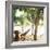 Young Woman Relaxes on Avellans Beach, Costa Rica, Central America-Aaron McCoy-Framed Photographic Print