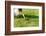 Young Woman Sitting on a Meadow, Cropped, Detail-Axel Schmies-Framed Photographic Print