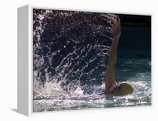 Young Woman Swimming the Backstroke in a Swimming Pool, Bainbridge Island, Washington, USA-null-Framed Premier Image Canvas