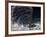 Young Woman Swimming the Backstroke in a Swimming Pool, Bainbridge Island, Washington, USA-null-Framed Photographic Print