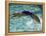 Young Woman Swimming the Backstroke in a Swimming Pool, Bainbridge Island, Washington, USA-null-Framed Premier Image Canvas